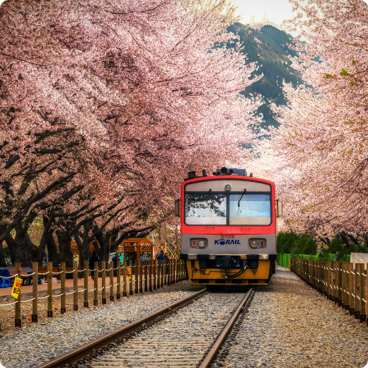 Add a heading - 2025-06-30T122634.839